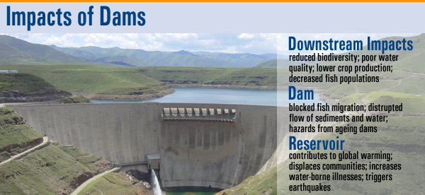 Impacts of Dams