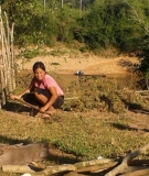 Women living downstream report they get severe rashes when using the highly turbid river water for household needs, and that they can no longer rely on riverbank gardening because of the fluctuations of the river levels. 