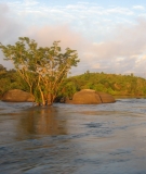 Pimental Island, site of Belo Monte's secondary dam, entering the Big Bend