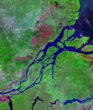 Carbon-eating machine: The Amazon River meets the sea.