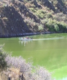Toxic algae blooms regularly poison PacifiCorp’s Klamath reservoirs. A lawsuit filed against PacificCorp last year states that the company has been aware of the problem for at least six years but has failed to correct it.
