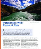 Patagonia's Wild Rivers at Risk