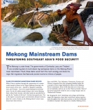 Mekong Mainstream Dams