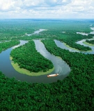 Rivers need to be “unbroken” to maintain healthy habitats. Dams proposed for the Amazon, for example, would fragment the river in ways that would harm the region’s rich tapestry of life.