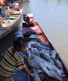 Fisherman along the Mekong River in Siphandone, Upstream of the Don Sahong Dam