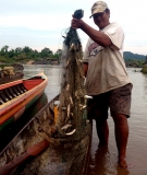A fisherman brings in his morning catch along the Mekong River