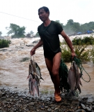 Wild ﬁsh catch is the most important source of protein throughout the Mekong region.