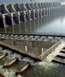 a complex fish ladder is intended to lead anadromous fish up the John Day Dam on the Columbia River in the US Northwest. The fish that do make it up the ladder face deadly conditions in the reservoir.