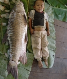 Thai-Karen ethnic villagers along Thai-Burma border conducted community  research on the Salween using Thai Baan research methods. Here, a local boy demonstrates the size of one of the Mekong’s giant fish species.