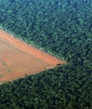 Photo: The Amazon rain forest, bordered by deforested land prepared for the planting of soybeans, in western Brazil on 4 October 2015. By: Paulo Whitaker/Reuters