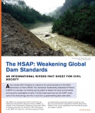 The HSAP: Weakening Global Dam Standards