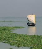 Boats on a river in Bangladesh.