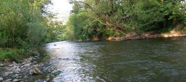 Photo of Studenica River courtesy of Mihailo Grbic via Wikimedia Commons.