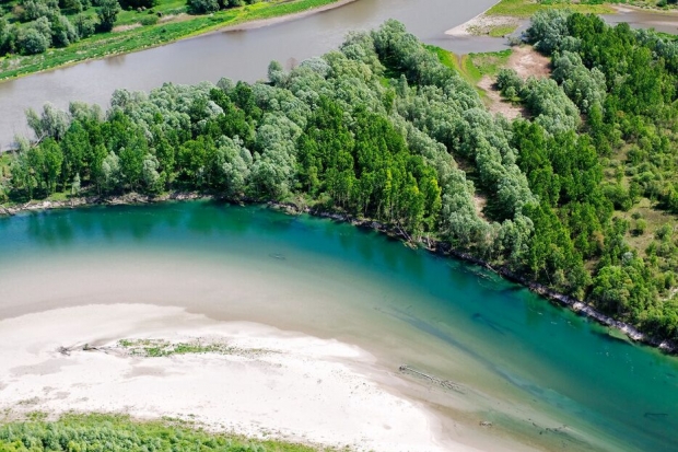 The Drava River.