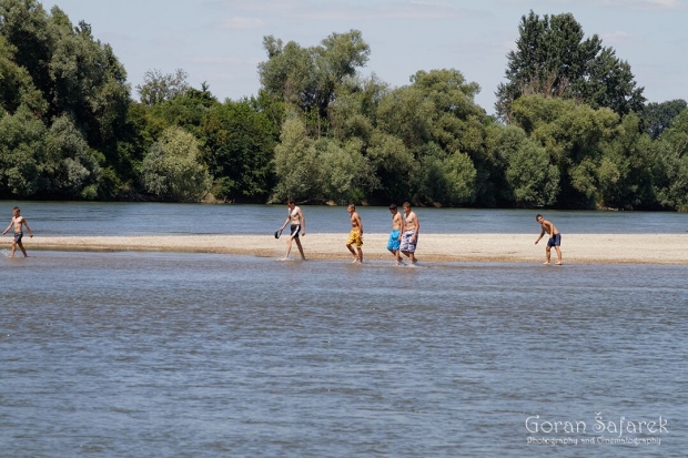 Boys swimming in the Drava River.