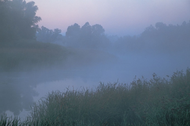 Mist on the river.