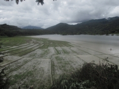 Mapithel dam reservoir has submerged more than 2,000 hectares of forest, agriculture land, grazing ground 