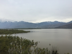 The spread of Wular lake, part of the Jhelum drainage basin, has reduced from 159 sq km in 1911 to 86 sq km in 2007
