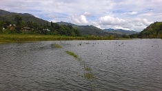 Agricultural land partially submerged in Chadong village by Mapithel dam