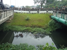 Police surround a polluted stream, green from euthrophication: The real 