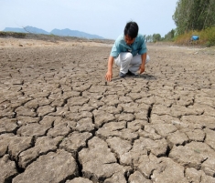 Drought in Vietnam southern and central regions devastated agricultural land