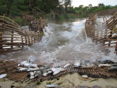 Ly fish traps traditionally used by fishermen in Southern Laos have been banned from the Khone Falls