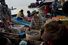 Fish market on the Mekong