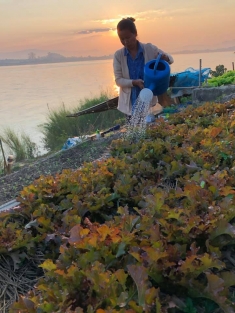 A woman waters her riverbank garden on the Mekong River.