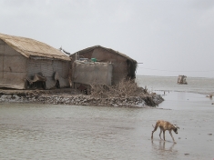 The Indus Delta - here at Keti Bandar - is being eroded by the sea