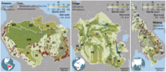 Dams in the Amazon, Congo and Mekong basins