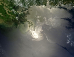 BP Oil Spill, Gulf of Mexico, 2010