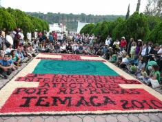 Temaca Protest Banner