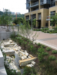 Ecological stormwater Management in Portland, Oregon