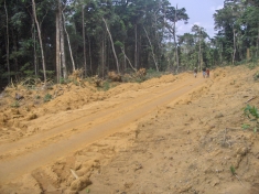 Belinga: Road to the Dam Site