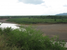 The Omo failed to flood in 2009. Indigenous farmers in the Lower Omo Valley couldn't grow river bank crops.