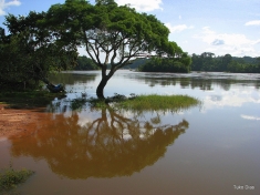 Aripuanã River, Mato Grosso