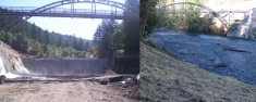 Marmot Dam removal, before and after