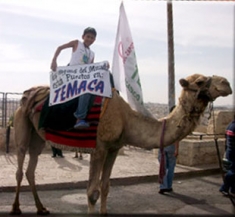The Eyes of the World Are Watching Temaca (Desert)
