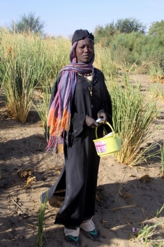 Nubian Villager Near the Proposed Kajbar Dam