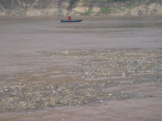 Pollution in the Three Gorges Reservoir