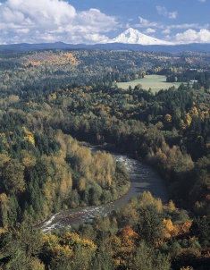 The Sandy River in Oregon is undergoing a restoration since the Marmot Dam was removed.