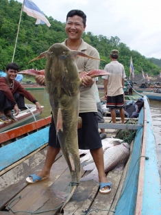 A Thai-Karen fisherman showing off his catch.