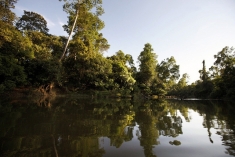 Areng River, Remote River Home to the Siamese Crocodile