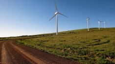 The 100 MW Sere Wind Farm in South Africa. Competitive auctions in South Africa have yielded some of the world's lowest prices for grid-connected wind, at US 4.7 cents per kWh