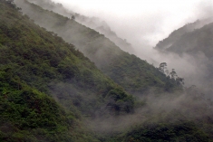 The Gaoligong Mountains in western China near Burma.