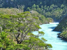 The free-flowing Pascua River in Patagonia/Chile