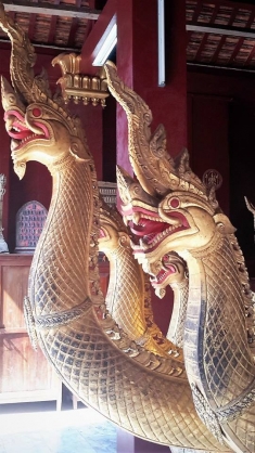 Water serpents at Chiang Khong