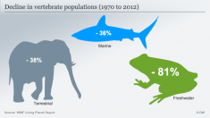 Loss of terrestrial, marine and freshwater populations