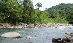 Children swimming in the Changuinola River in La Amistad