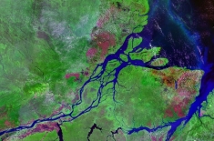 Carbon-eating machine: The Amazon River meets the sea.